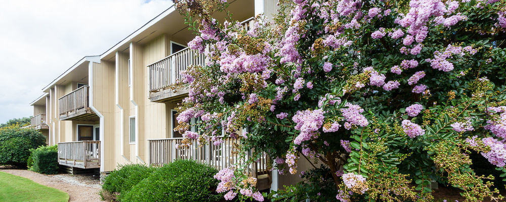 Sea Scape Beach And Golf Villas Kitty Hawk Exteriér fotografie